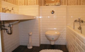 ремонт санузла